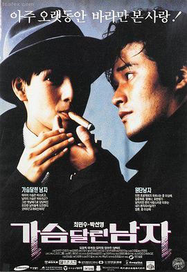 青柠影院热播电影《光影之城》